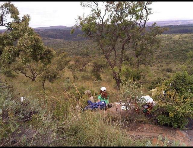 FARM FOR SALE IN LYDENBURG RURAL